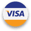 pay with visa