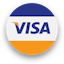 pay with visa